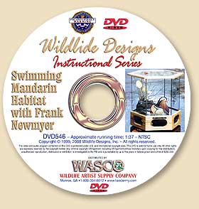 DVD546