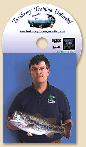DVD804