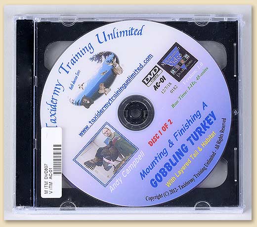 DVD807