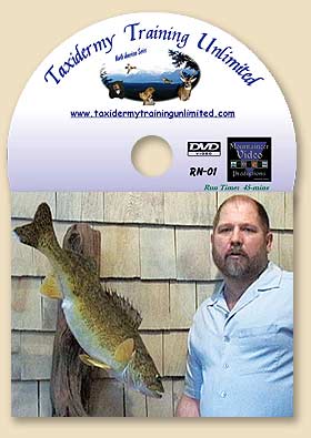 DVD856