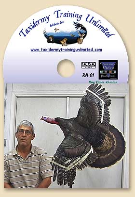DVD864
