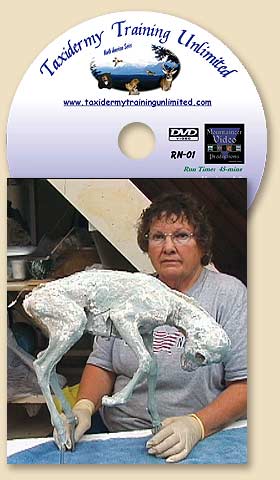 DVD873