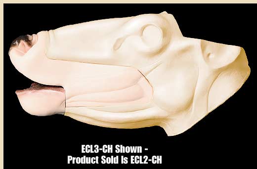 ECL2-CH