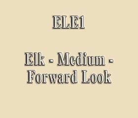 ELE1