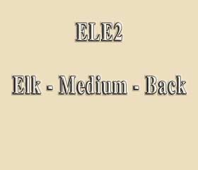 ELE2