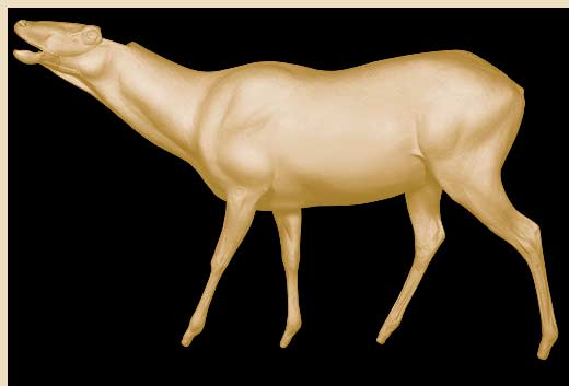 ELK161