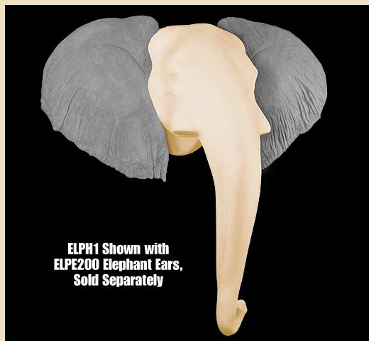 ELPH1