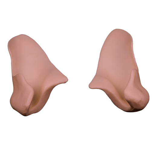 ERCY1