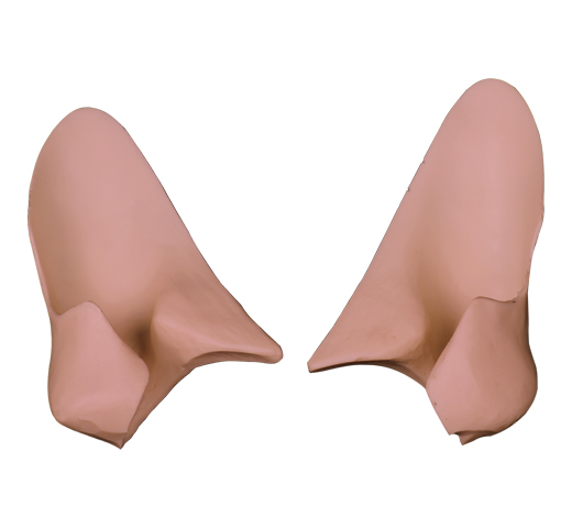 ERRF1