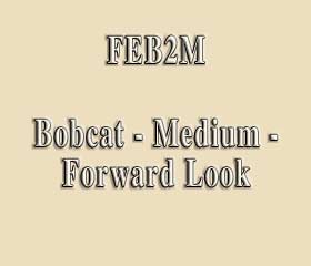 FEB2M