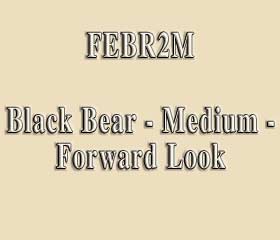 FEBR2M