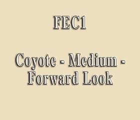 FEC1