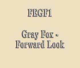 FEGF1