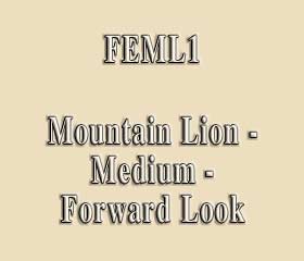 FEML1