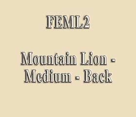 FEML2