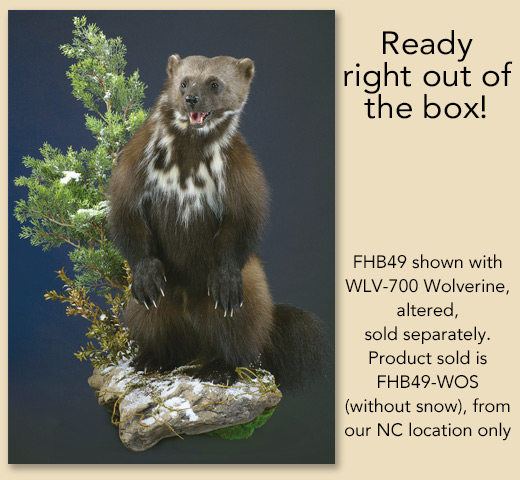 FHB49-WOS