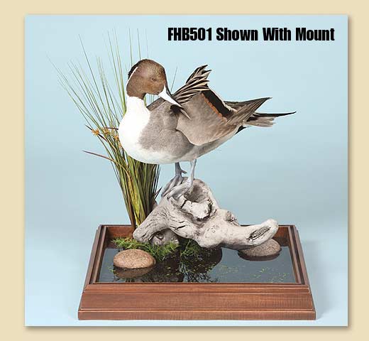 FHB501
