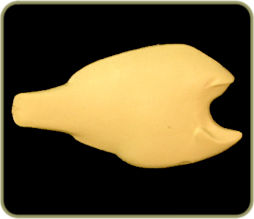 FWBG52