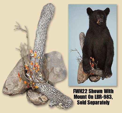 FWH22