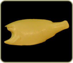 FWHST49