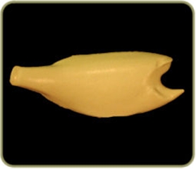 FWHST60