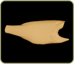 FWLM16