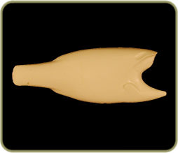 FWLM22