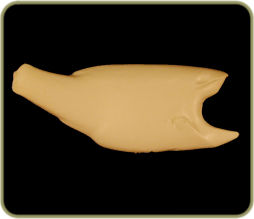 FWLM38