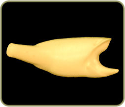 FWLM44