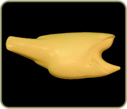 FWLM54