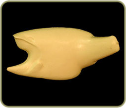 FWLM55B