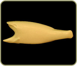 FWLM57