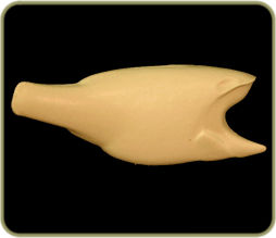 FWLM62