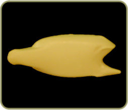 FWPC12