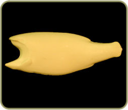 FWSM27