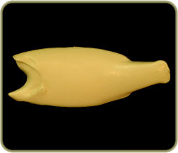 FWSM35