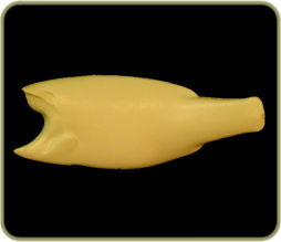 FWSM43