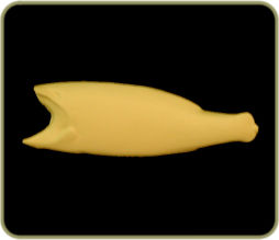 FWSM5