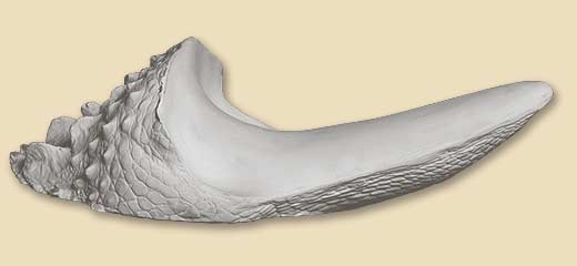 GBS77