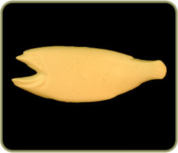 HL1513