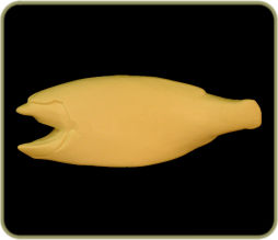 HL1918