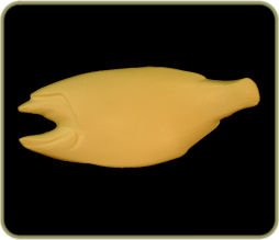 HL1919
