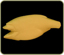 HLD2021