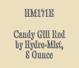 HM171E
