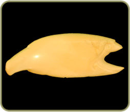 HRD1714