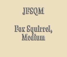 JFSQM