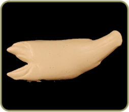 L434