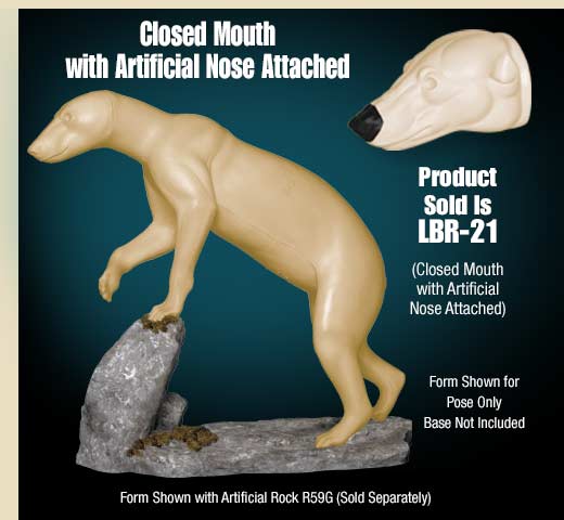 LBR-21