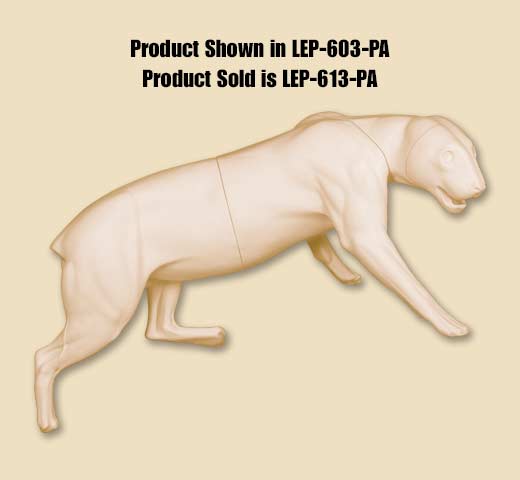 LEP-613-PA