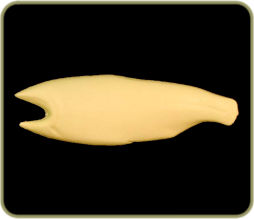 LT1512